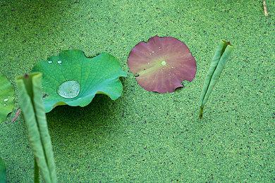 《索尼克：边境》有可能在2022年11月15日发售